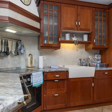 度假居 祖施米德费里恩豪斯酒店 高恩莱宾